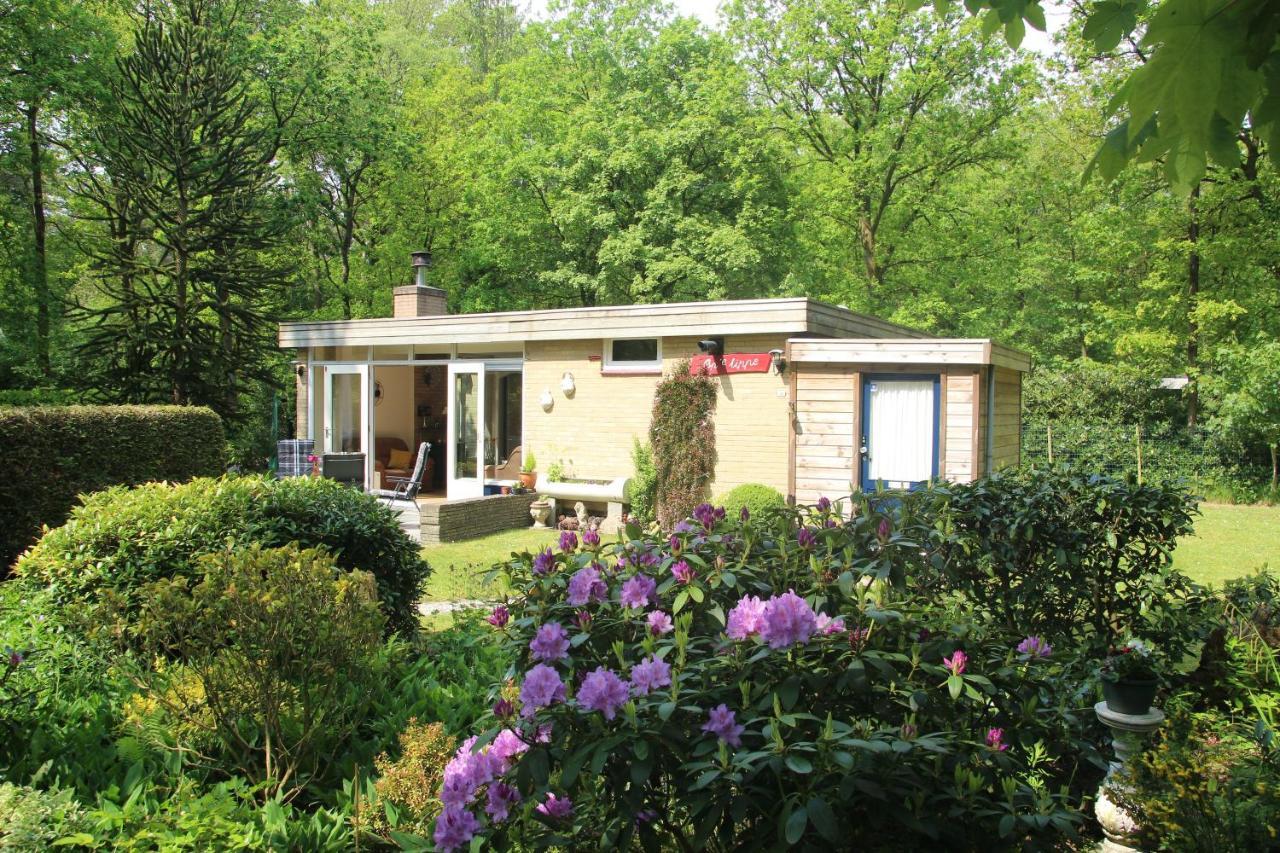 Valouwe 54 Apartment Appelscha Exterior foto